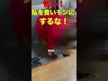[認知症介護]息子は、私を食いモンにする！怖い！出て行ってくれ！という母＃介護ストレス＃認知症おばあちゃん#Shorts