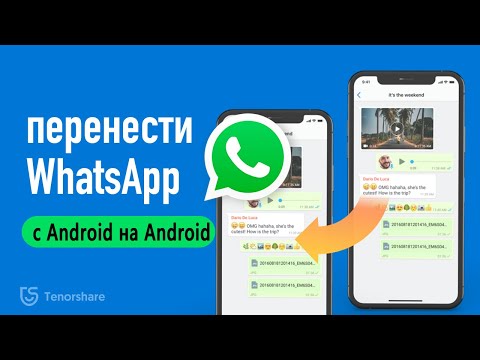 Как перенести WhatsApp с Android на Android [2 способа]