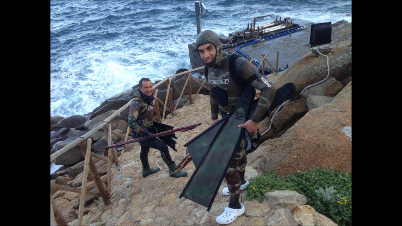 BLUCAMP Giglio 2013 Polosub CarbonioGFT Seawolf