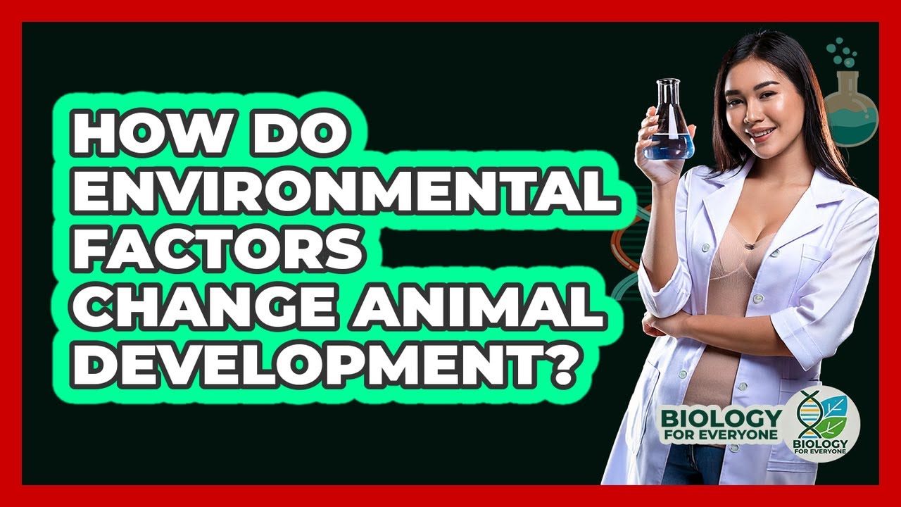 How Do Environmental Factors Change Animal Development? - Biology For Everyone