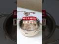 영계 두마리 사다가 제대로 된 보양식 풀코스 #공동구매