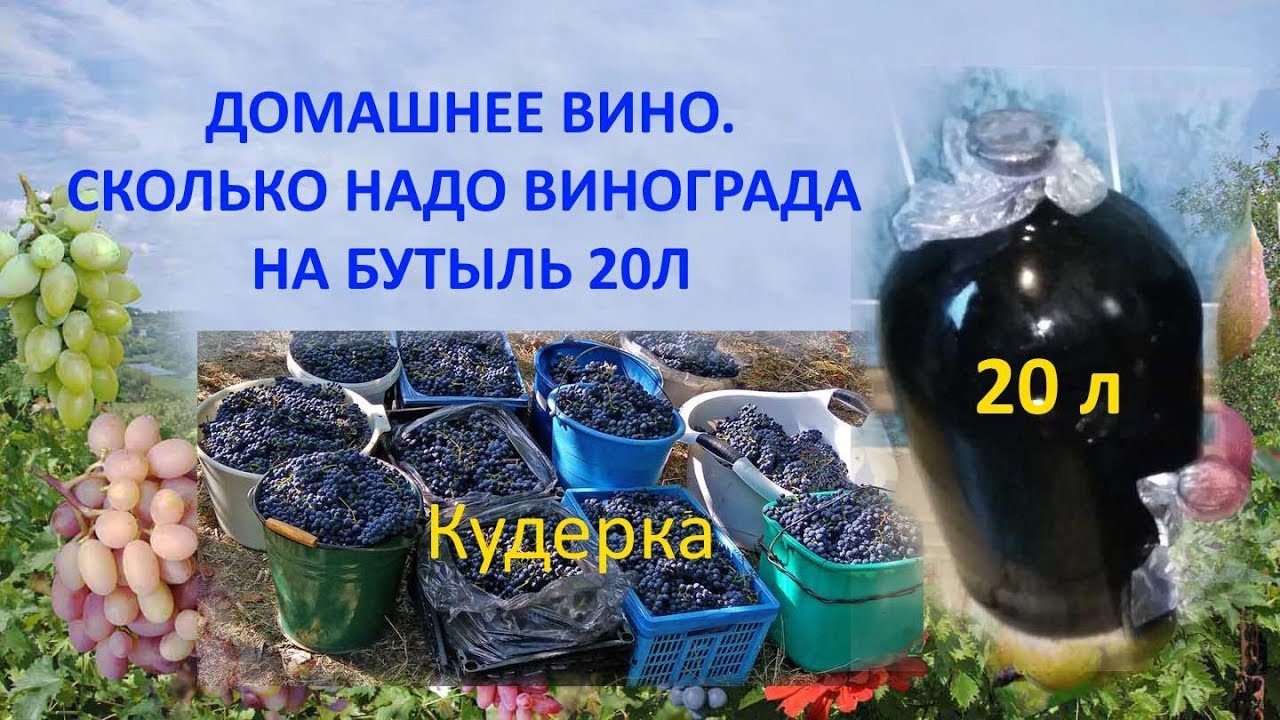 ⁣Домашнее вино  Сколько надо винограда на бутыль 20л