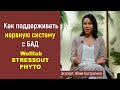 Как поддерживать нервную систему с БАД Welllab STRESSOUT PHYTO