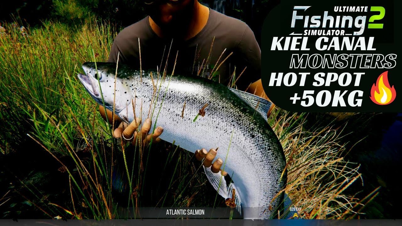 Atlantic Salmon, Sea Trout, Atlantic Cod, Hot Spot🔥, Kiel Canal, Ultimate  Fishing Simulator 2 