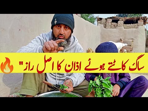 مکہ کی اذان کی گونج — دھکا یا قدرتی سر؟ | Village Reality