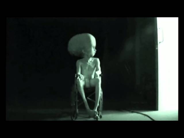 best scary viral videos