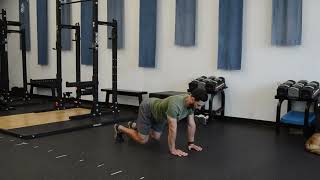 Tiger Plank - Exercise Demo