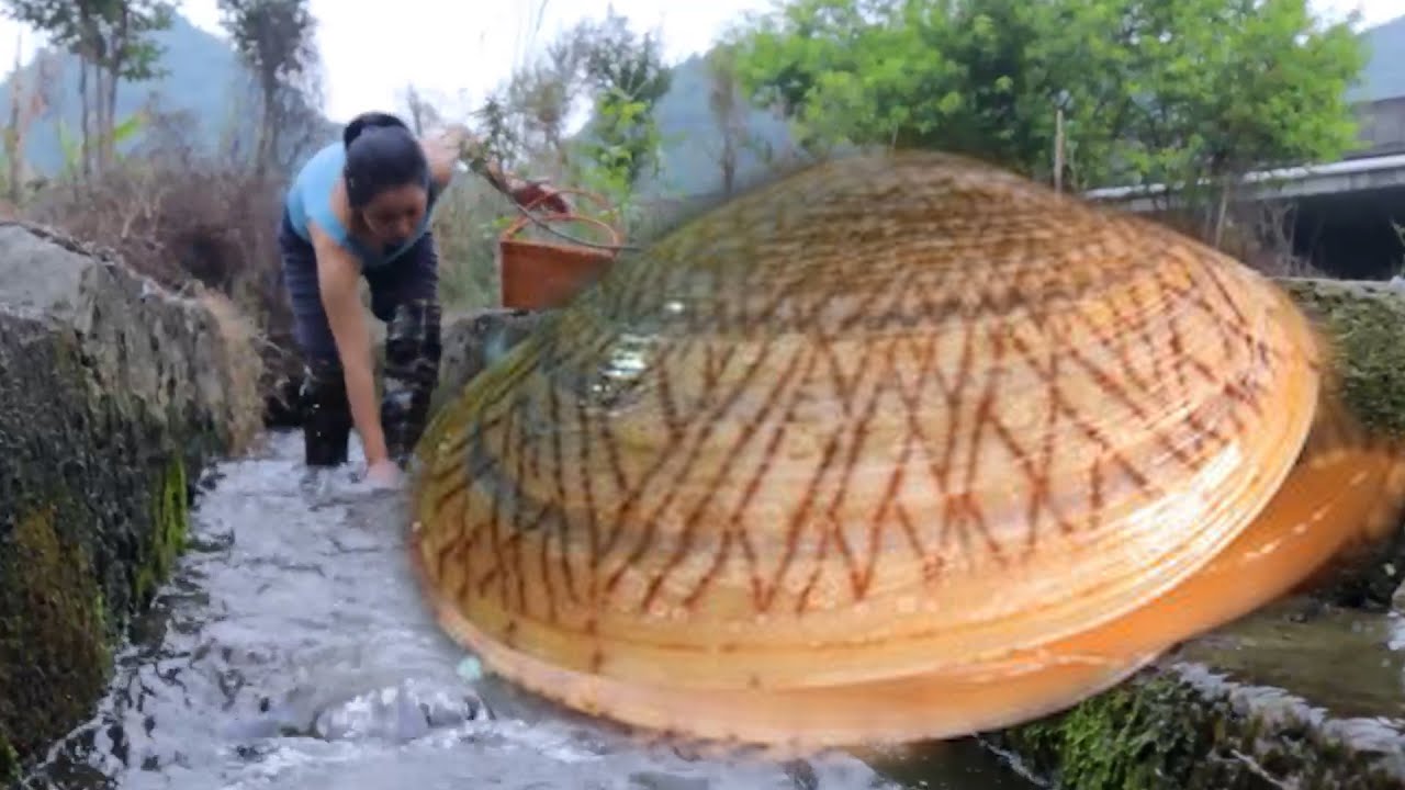 👑😲  The girl shouted loudly: The mutated giant clam is hiding in a hidden river ditch