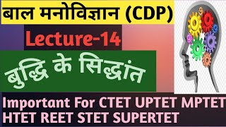 बुद्धि के सिद्धांत, Bhuddhi ke siddhant, CTET, UPTET, MPTET, HTET, SUPERTET KVS, NVS, DSSSB PRT, PGT