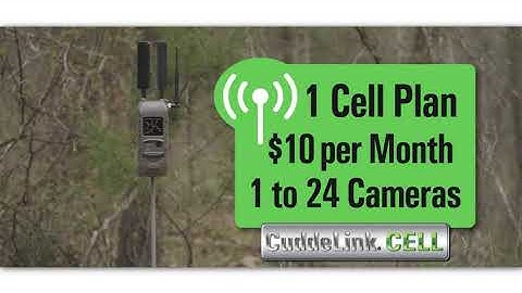 Cuddeback CuddeLink Cell