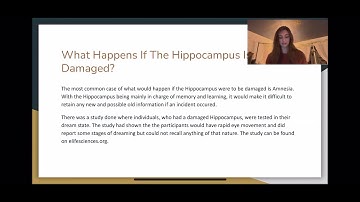 My Favorite Part Of The Brain