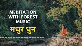 Meditation with Forest Music | Beautify Forest Music | Full Fitness screenshot 1