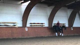Florestier training