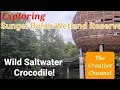 Exploring Sungei Buloh Wetland Reserve, Singapore 🇸🇬/ Wild Saltwater Crocodile!