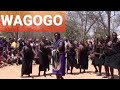:Historia ya Kabila La Wagogo