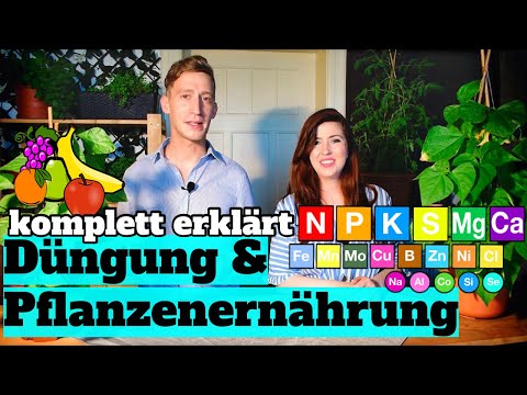 Video: Pflanzenernährung