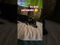 nada como una deuda