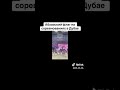 Абхазский флаг на соревнованиях в Дубае
