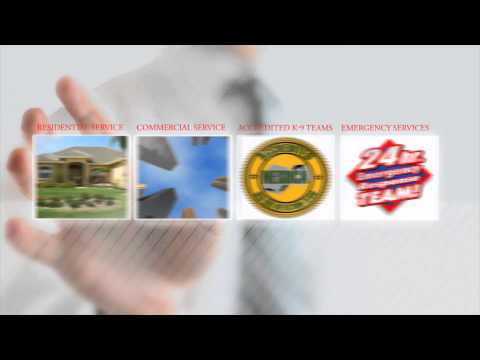 highest-rated-pest-control-company-in-bakersfield-ca-|-bakersfield-pest-control-&-bed-bug-removal
