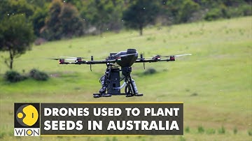 Australia is using drones to fight against deforestation and global warming | WION Climate Tracker