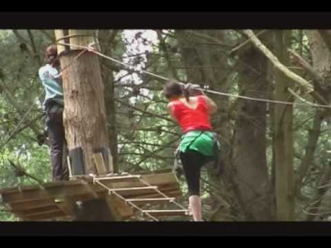 Adrenalin forest coupons