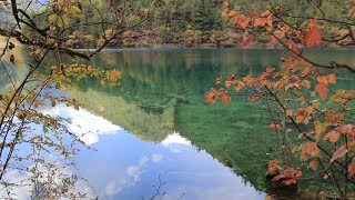 Why Thoreau Still Matters: Lessons on Environmentalism & Civil Disobedience Why Thoreau Still Matters: Lessons on Environmentalism & Civil Disobedience