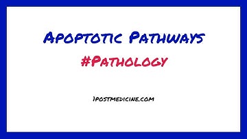Apoptotic Pathways // Pathology