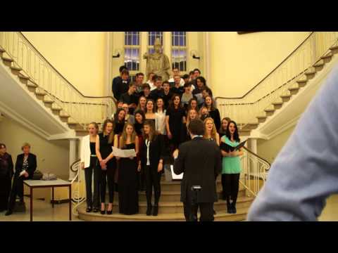 Lion King Medley Muziekcluster (Examenconcert Stedelijk Gymnasium Leiden 2014)