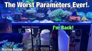 The Worst Parameters I’ve Ever Had in My Reef Tank! 
