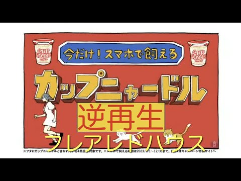 【逆再生】カップヌードルCM「ニャードル飼える 編」30秒（空耳つき）