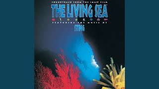 Why Should I Cry For You (Full Version)