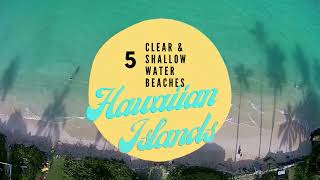 Discover the Best Beaches in Hawaii with Clear & Calm Waters | Budget-Friendly Resorts & Travel Tips