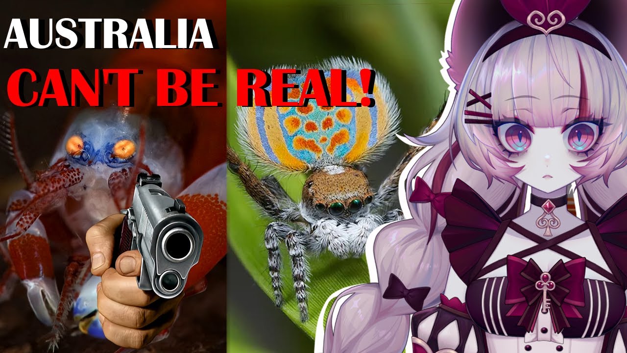 Australia TRAUMATIZED me...again | More parz reaction | Vtuber