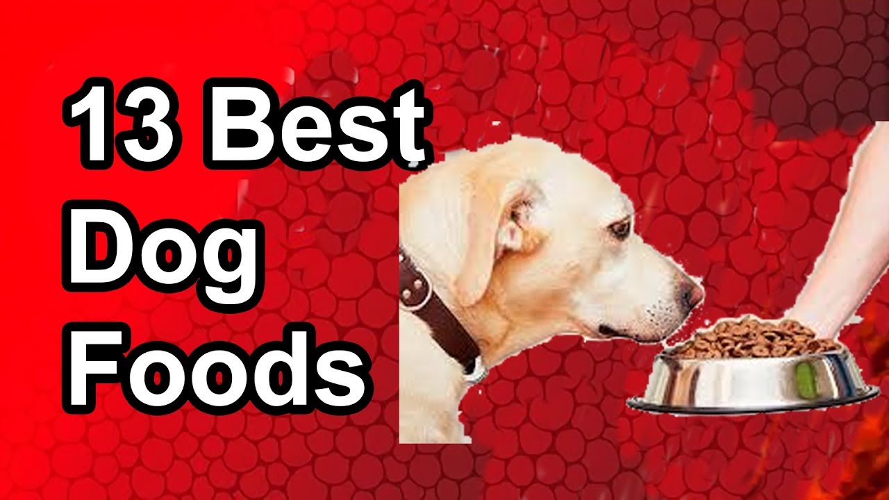 13 Best Dog Foods The Best Dog Food in 2019 YouTube