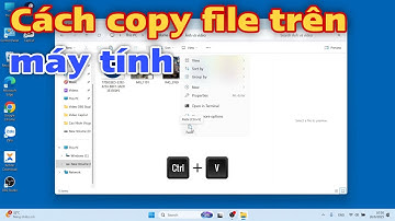 Cách copy file trên máy tính