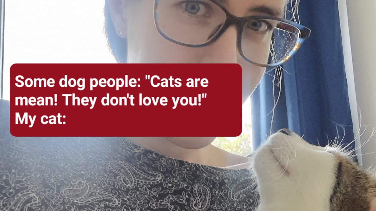 Some dog people "Cats are mean! They don't love you!" My cat
