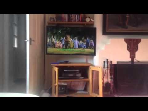 Shrek Dvd Menu Walkthrough 01 Version Youtube