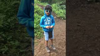 A morning walk at the Colinton Dell Path