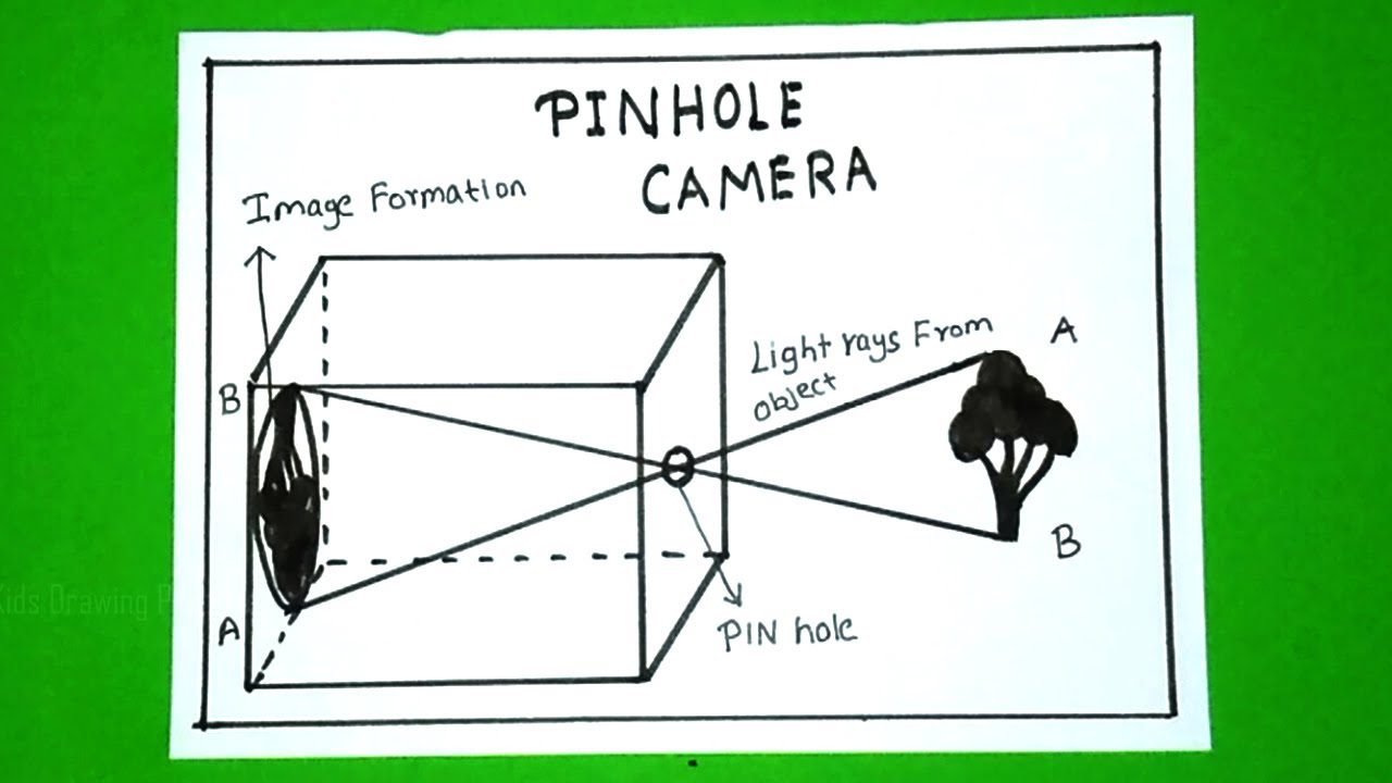 Pinhole Camera Diagram Drawing CBSE || step by step labelled project making  for beginners - YouTube