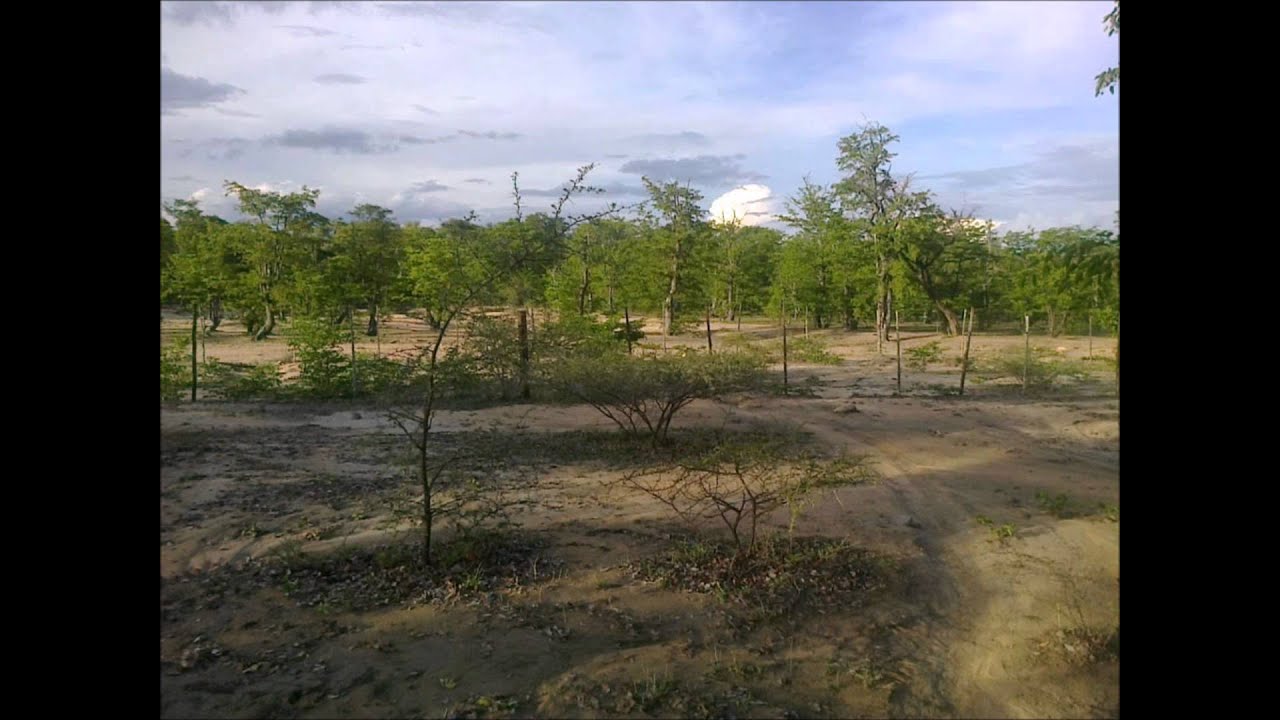 NDOLWANE SUPER SOUNDS WE NDODA