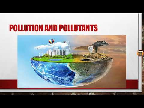 Pollutants and pollution (in hindi) - YouTube