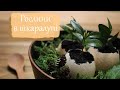 Живий ПАСХАЛЬНИЙ ДЕКОР з ЯЄЦЬ🐣 | Посадка рослин в шкаралупи | ForestInspire ✨