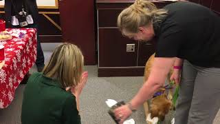 Portage County Service Dog Dao