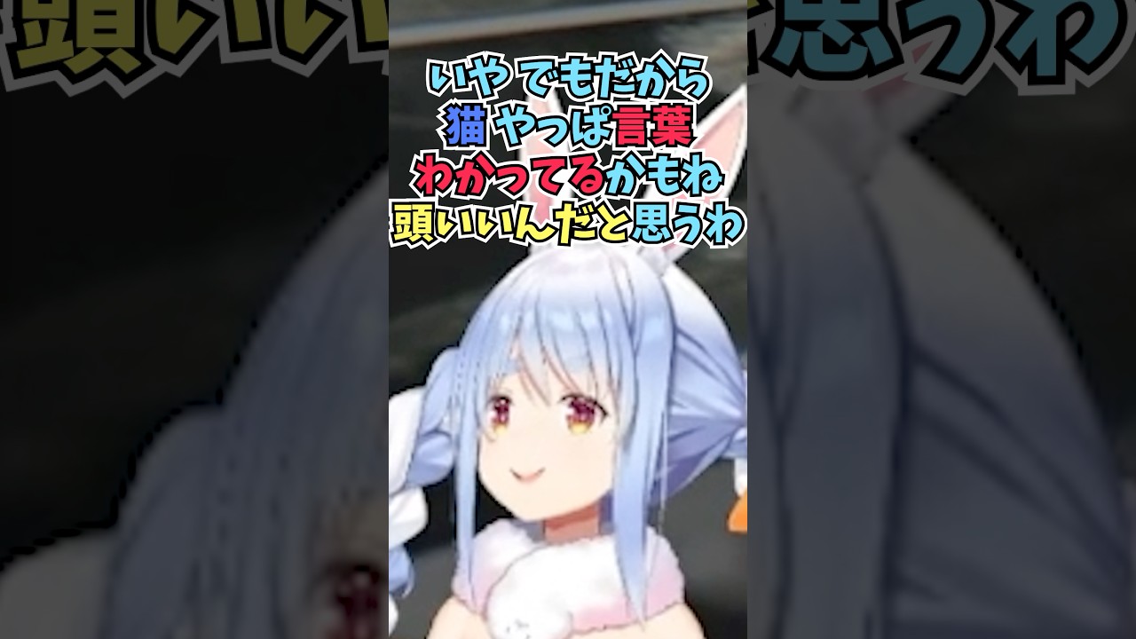 愛猫のごろちゃんが人間の言葉を理解していると賢さをベタ褒めするぺこーら #shorts #ホロライブ #切り抜き #vtuber #兎田ぺこら #ホロ切り抜き
