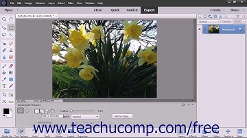 Photoshop Elements 2018 Tutorial The Marquee Tools Adobe Training
