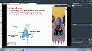 Anatomy of the Nose - Dr. Ahmed Farid