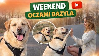 Bazyl Przejmuje Weekend