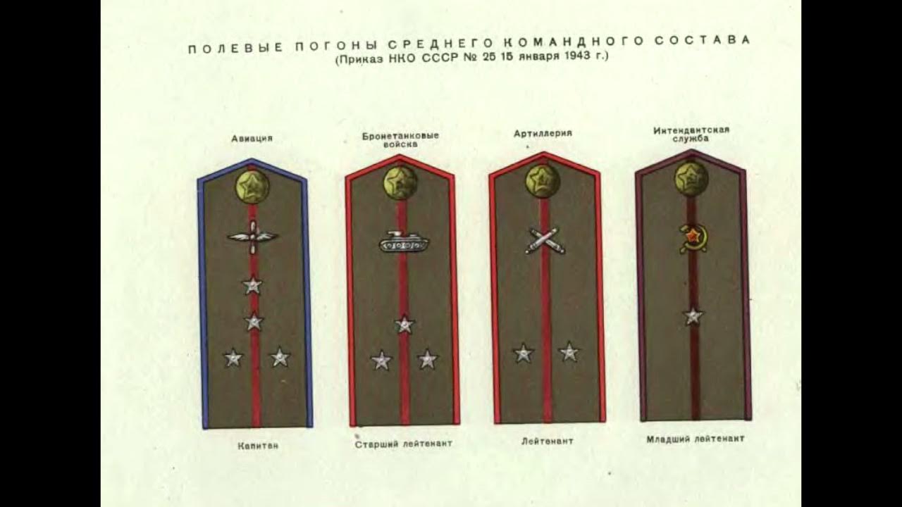 Стрелков погоны. Погоны Советской армии 1943-1945. НКВД погоны СССР после 1943 года таблица. Погоны РККА 1943 таблица. Погоны младшего лейтенанта РККА 1943 года.