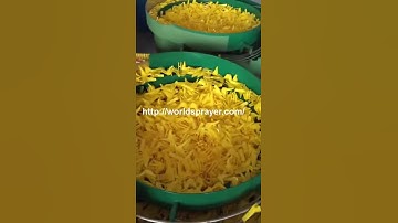 Professional sprayer trigger producer