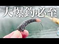 大物から数釣りまで!!この新感覚ルアーが今アツ過ぎる!!【エリアトラウト】【管理釣り場】【えさにょろ】